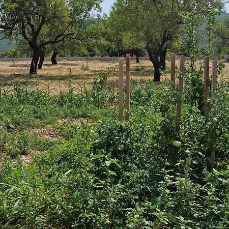 Cozy In Radosinovci With Kitchen Nyaraló *